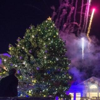 A large fresh tree is unveiled on 的 TCU campus with lights, crowds, revelers 和 烟花